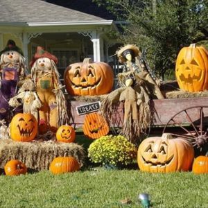 Meet your Posher, Carolina